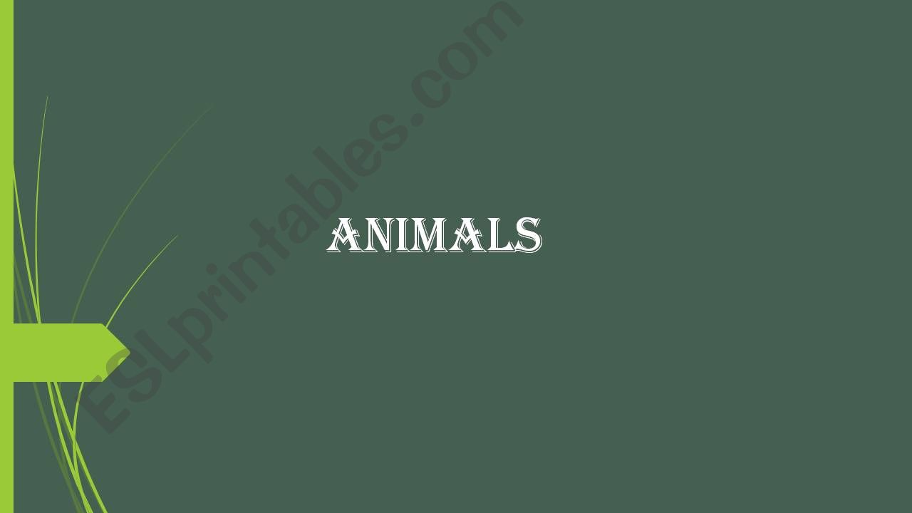 Animals powerpoint