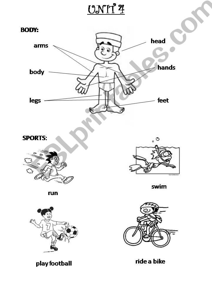 The body powerpoint