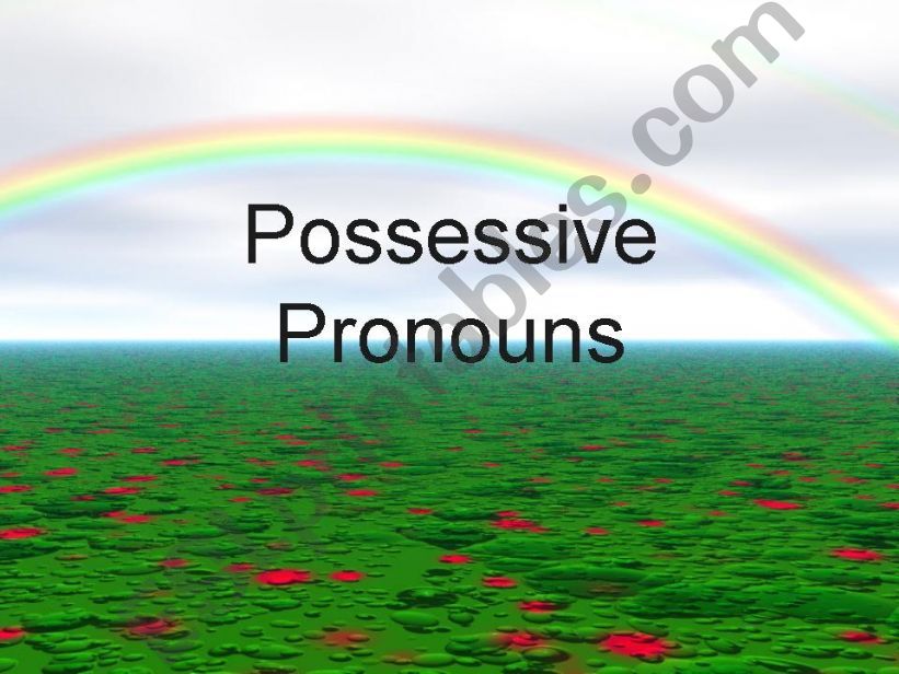 possessive pronouns powerpoint
