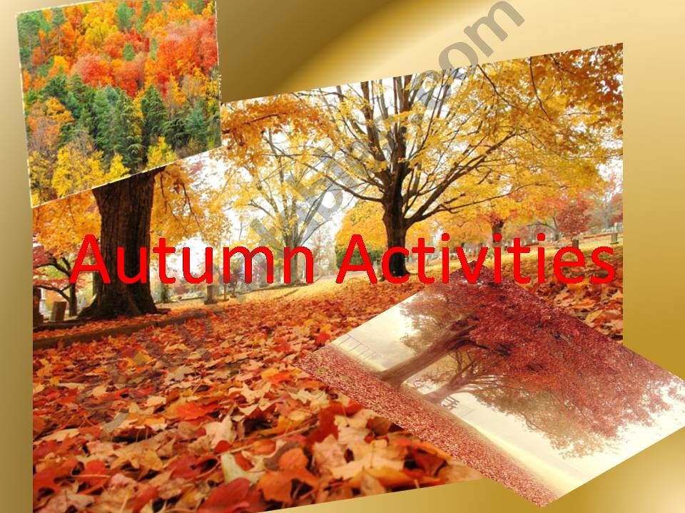 Autumn activities powerpoint