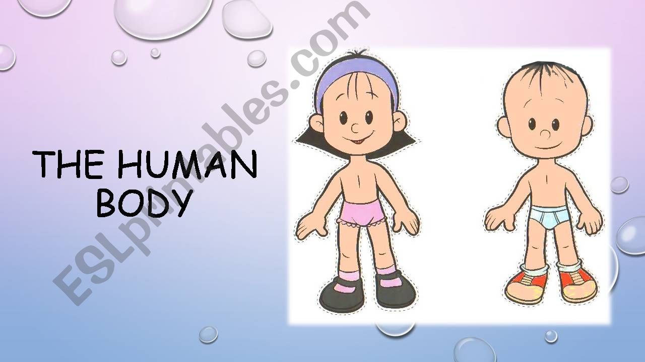 The Human Body powerpoint
