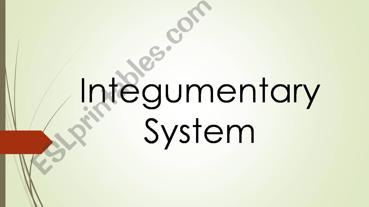 Integumentary system powerpoint