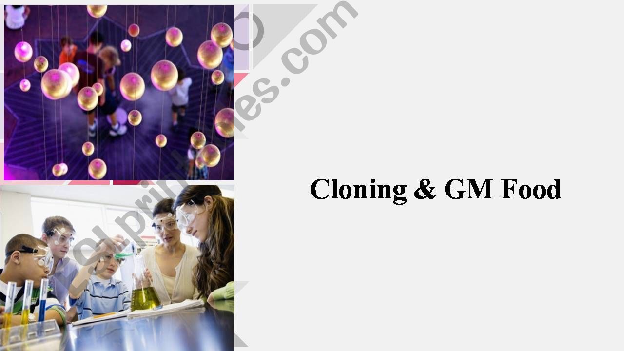 cloning GM Food powerpoint