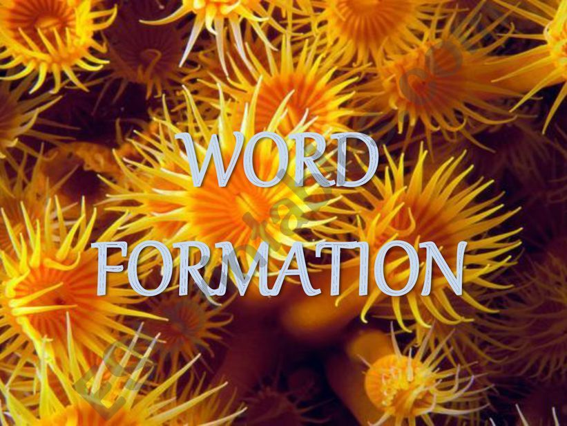 ESL English PowerPoints WORD FORMATION PREFIXES AND SUFFIXES