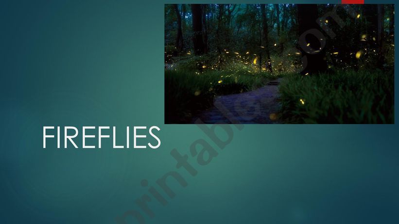 fireflies powerpoint