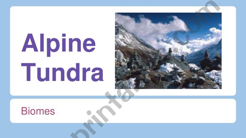 Alpine tundra presentation powerpoint