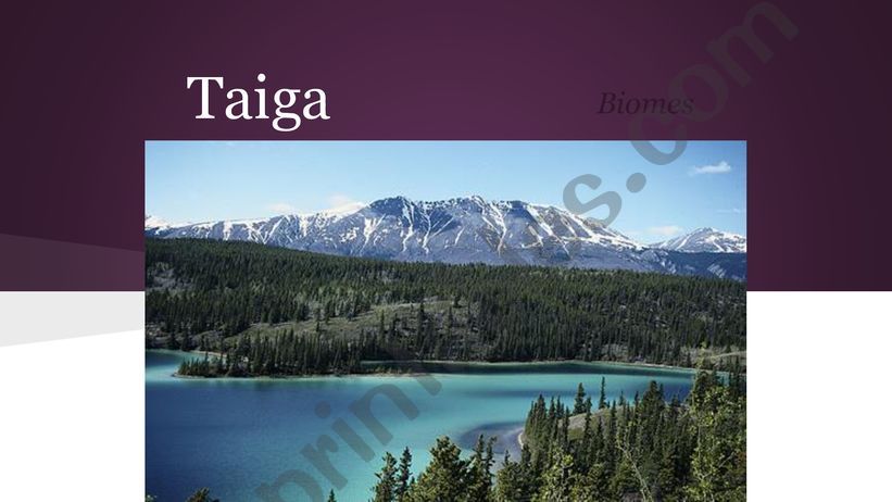 Taiga presentation powerpoint