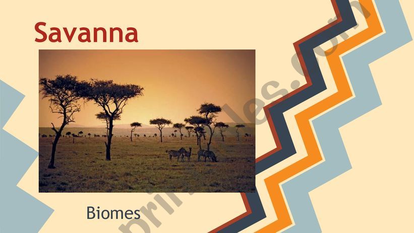 Savanna presentation powerpoint