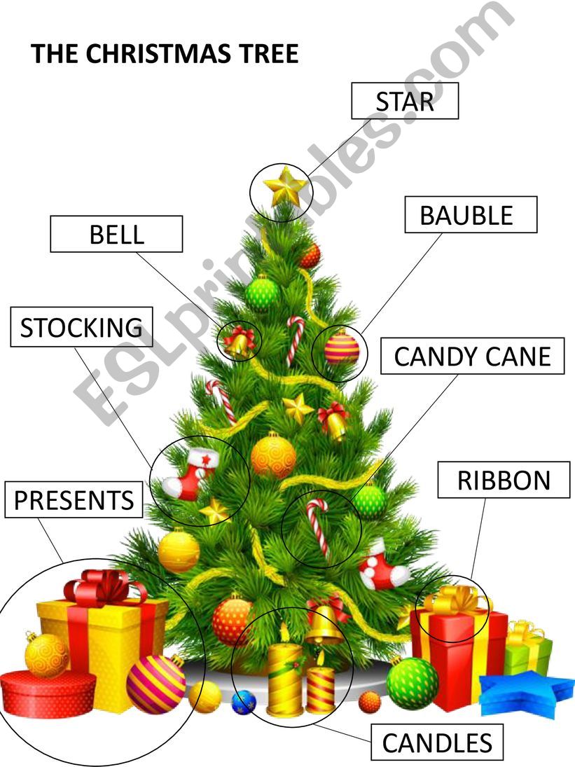 ESL  English PowerPoints CHRISTMAS TREE VOCABULARY