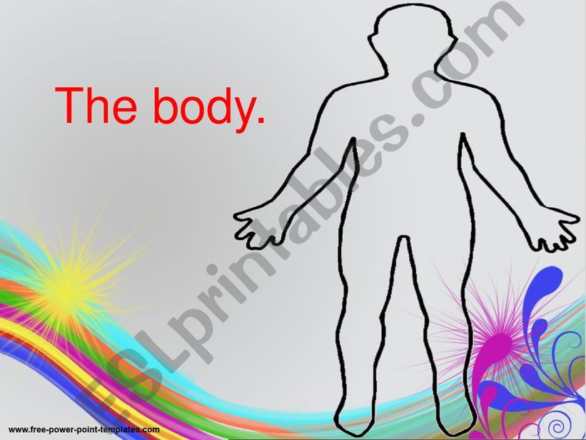 Body parts PPT powerpoint