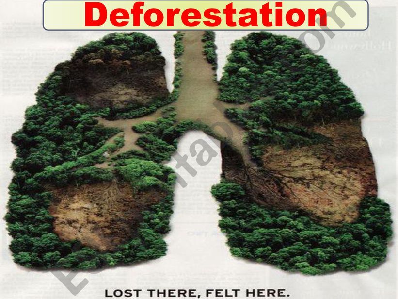 DEFORESTATION powerpoint