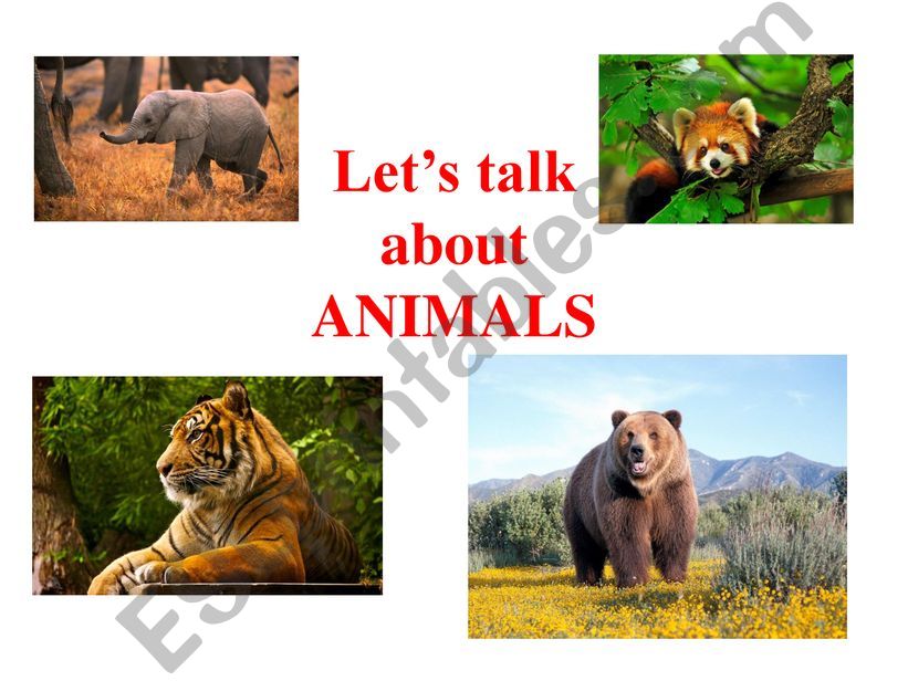 Animals powerpoint