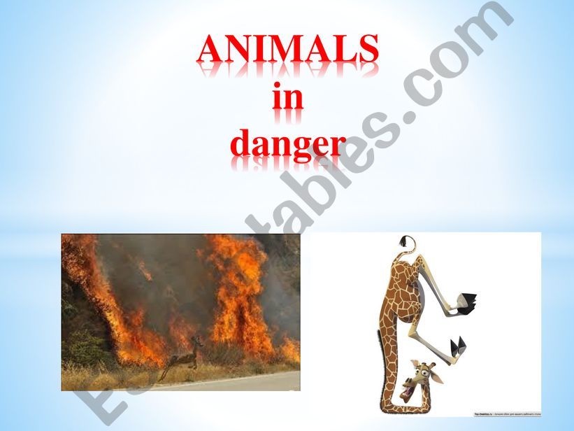 Animal protection powerpoint