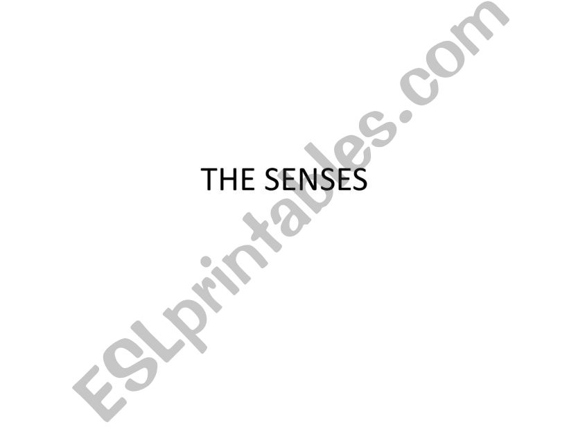 The 5 senses powerpoint