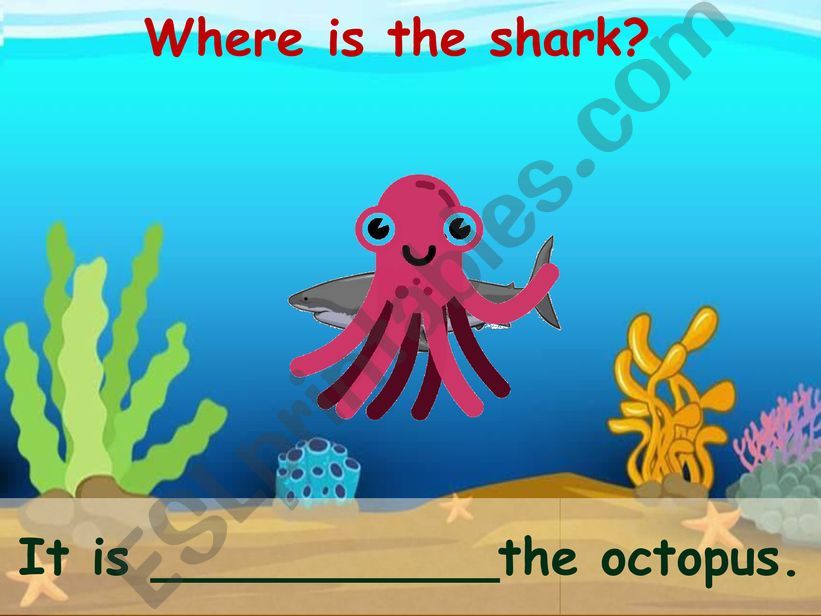 Where is the shark? Prepositions game