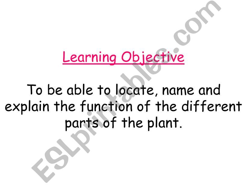 parts of the flower powerpoint