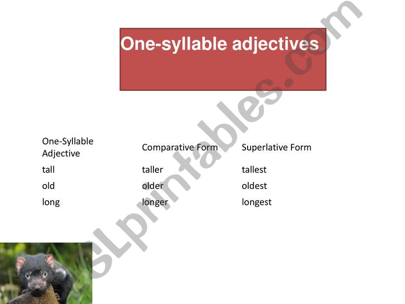 comparative and  superlative - adjective forms