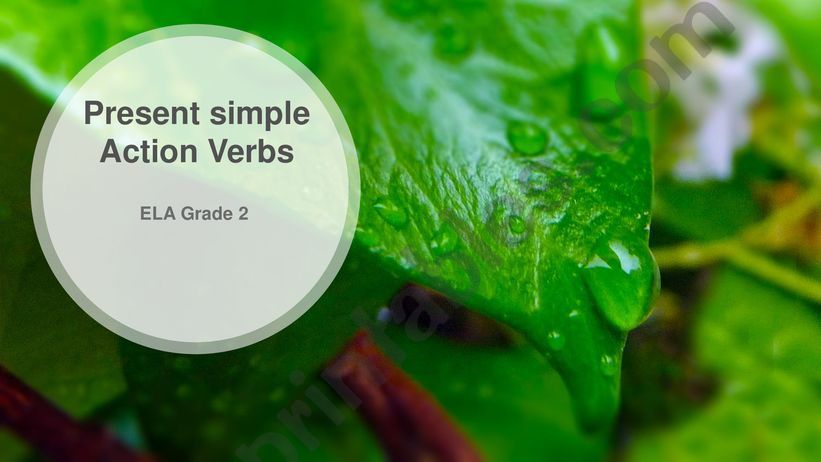 Present Simple with action verbs