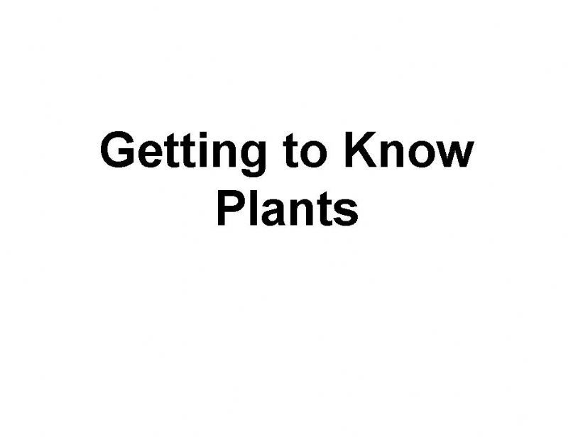 Getting to Know Plants powerpoint