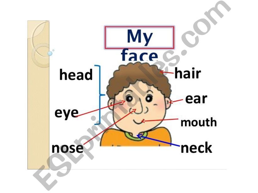 Face and body powerpoint