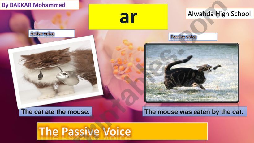 Passive Voice powerpoint