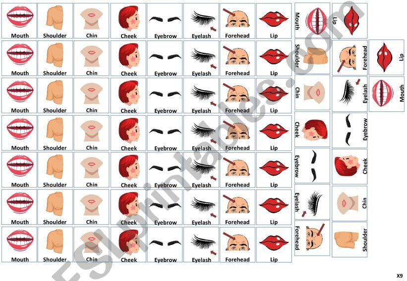 Mini Flashcard for practising writing vocabulary