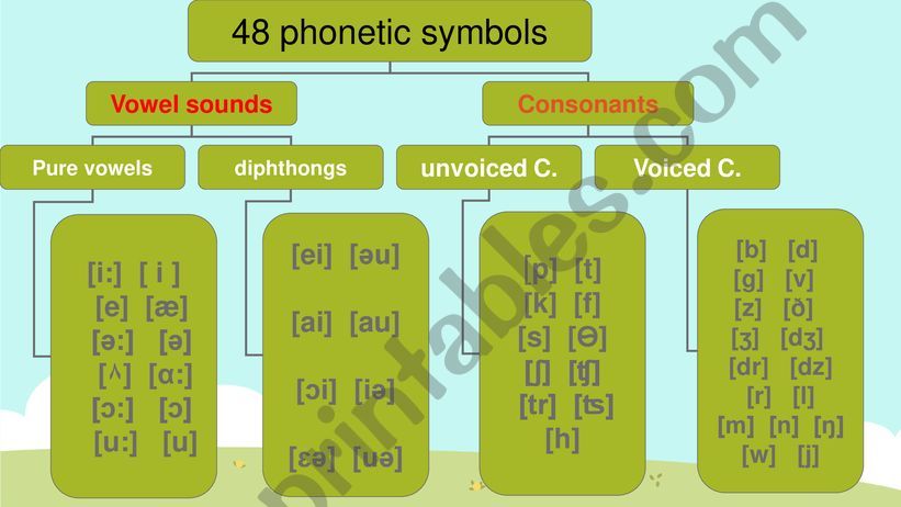 Vowel review powerpoint