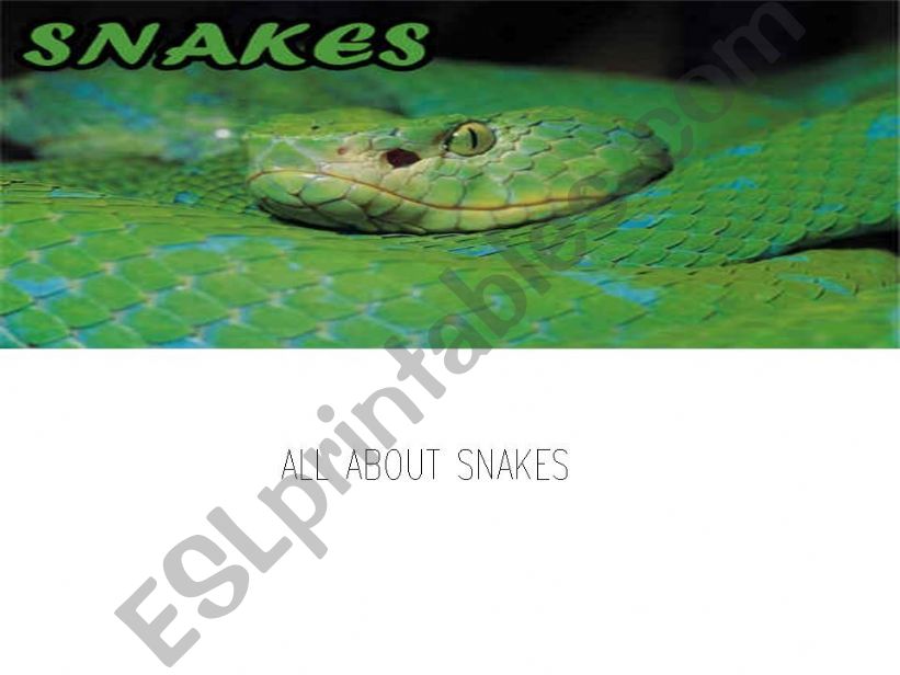 Snakes powerpoint