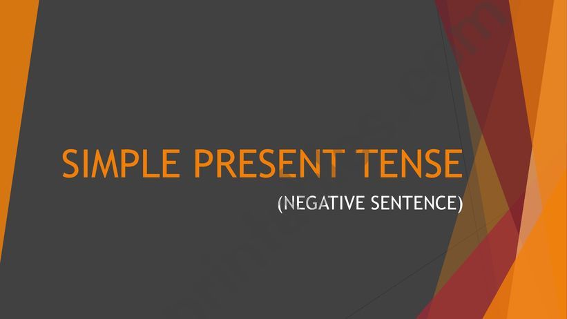 simple present tense (negative and interogative sentence