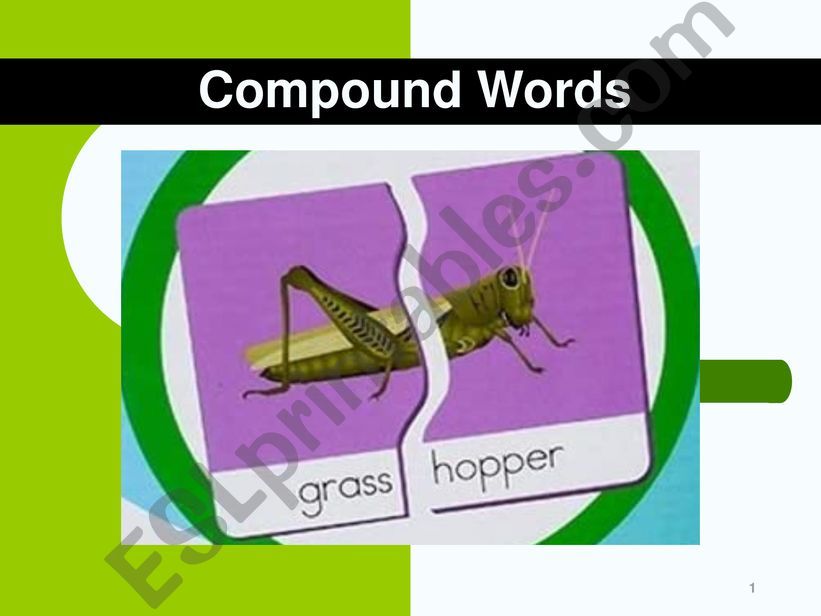 Compound Words powerpoint