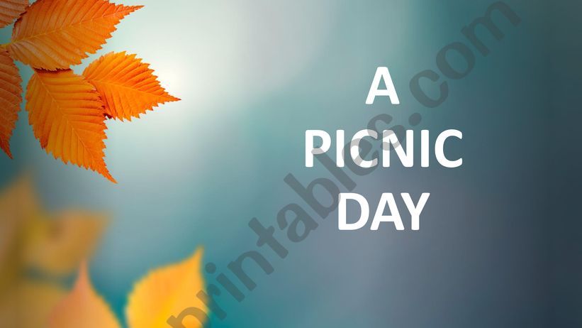 Picnic Vocabulary powerpoint