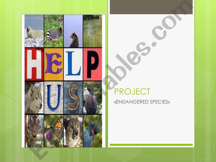 Endangered Animals powerpoint
