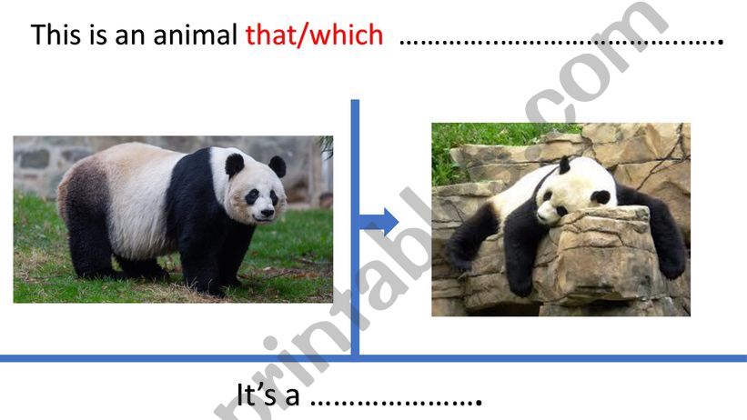 Relative Cclause  that which powerpoint