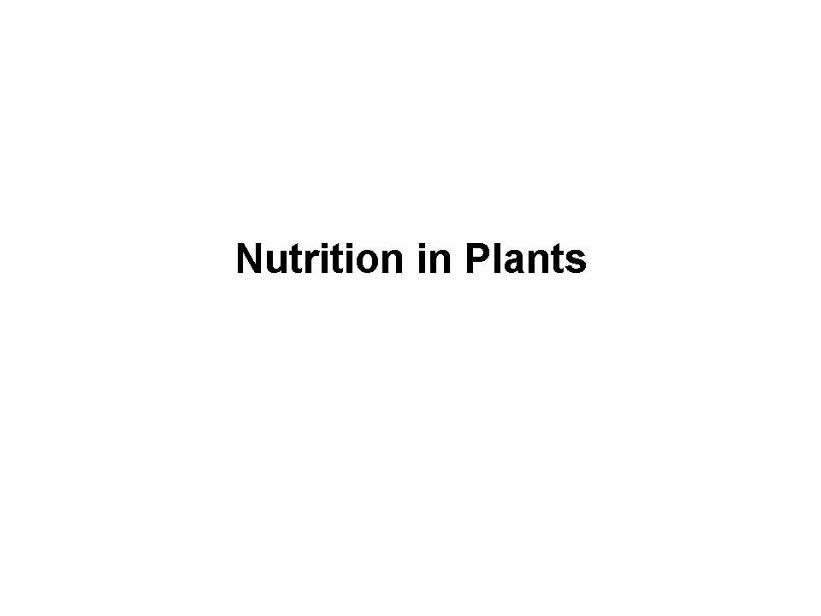 Nutrition in Plants powerpoint