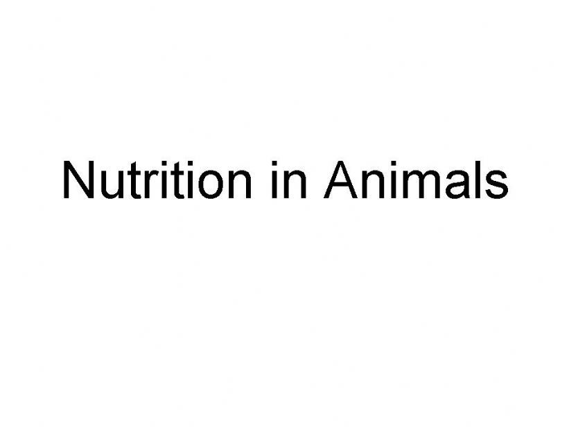  Nutrition in Animals powerpoint