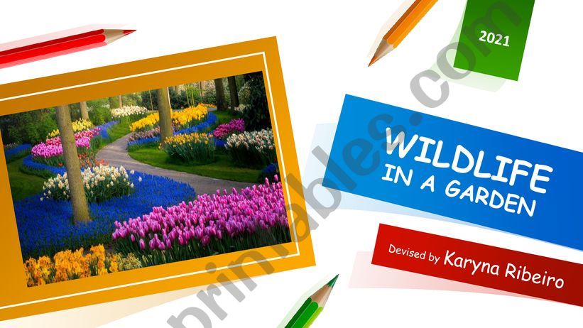 Wildlife in the garden powerpoint