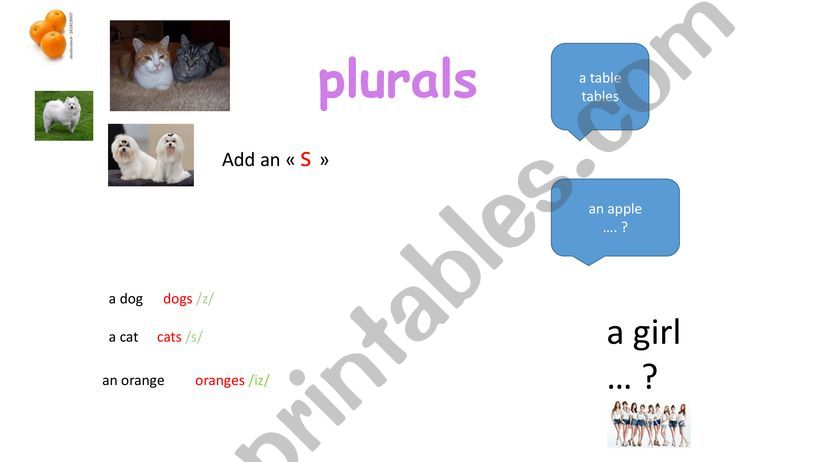 plurals powerpoint