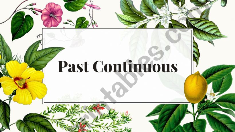 Past Continuous powerpoint