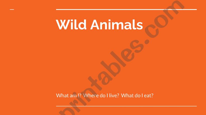 Wild Animals powerpoint