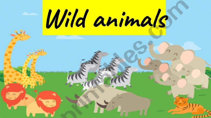 Wild animals powerpoint