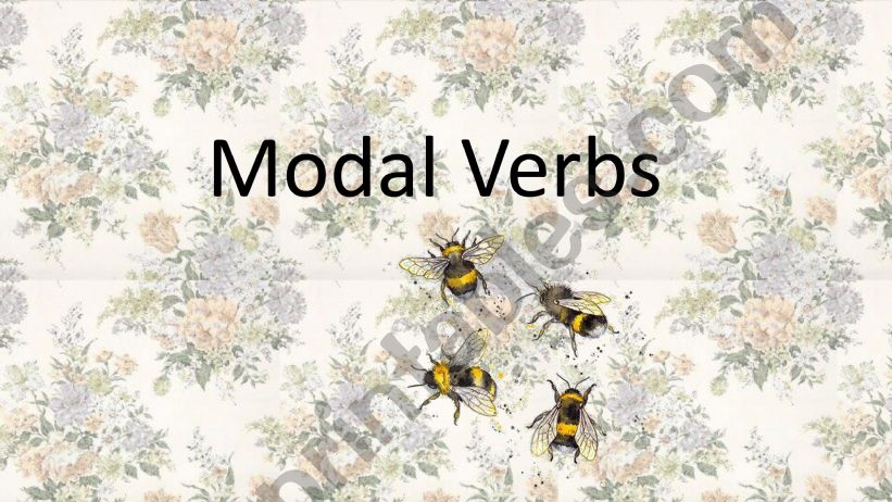 Modal Verbs powerpoint