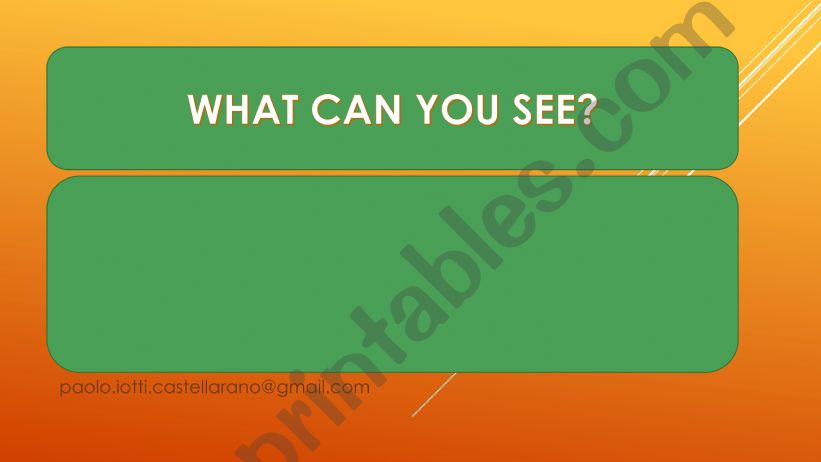 what can you see? find the hidden animals
