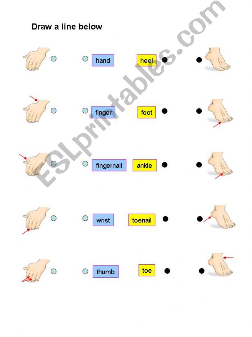 Hand and foot powerpoint