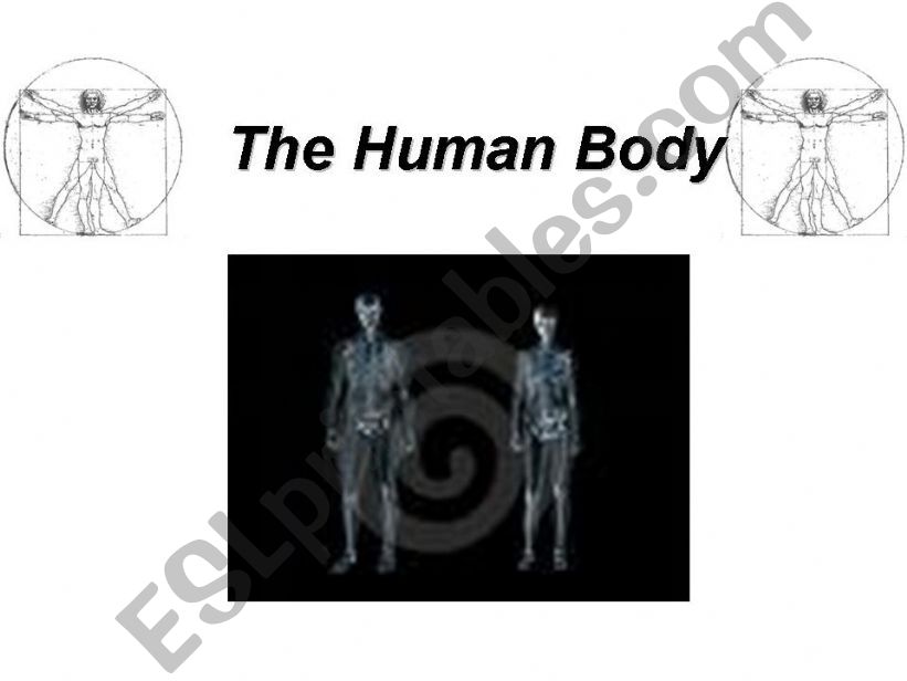 The Human Body powerpoint