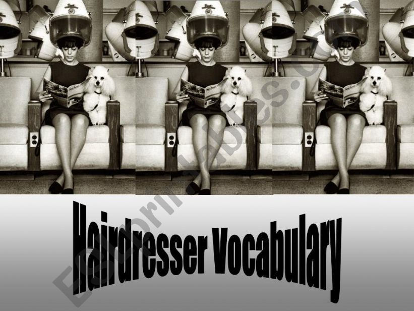 Hairdresser Vocabulary & Exercises