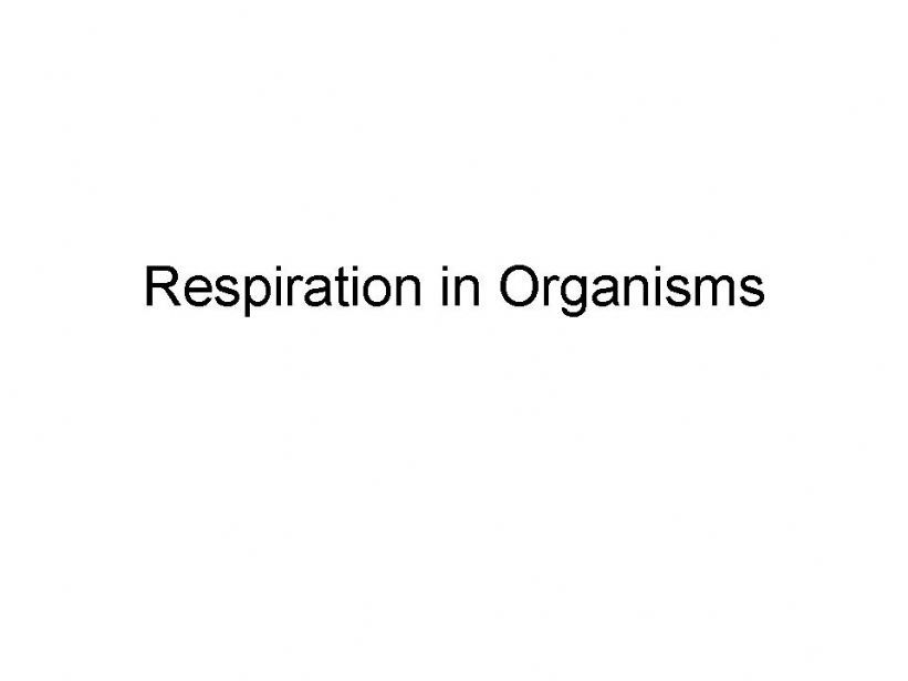 Respiration in Organisms powerpoint