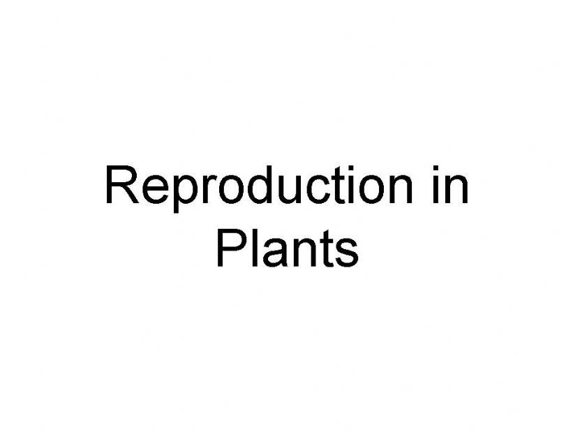 Reproduction in Plants powerpoint