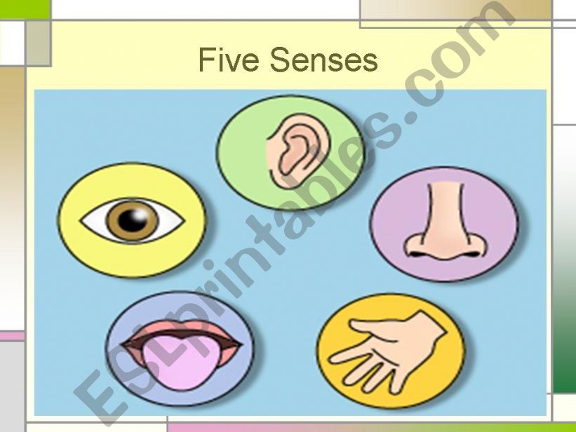 Five Senses powerpoint