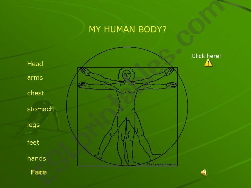 the human body powerpoint