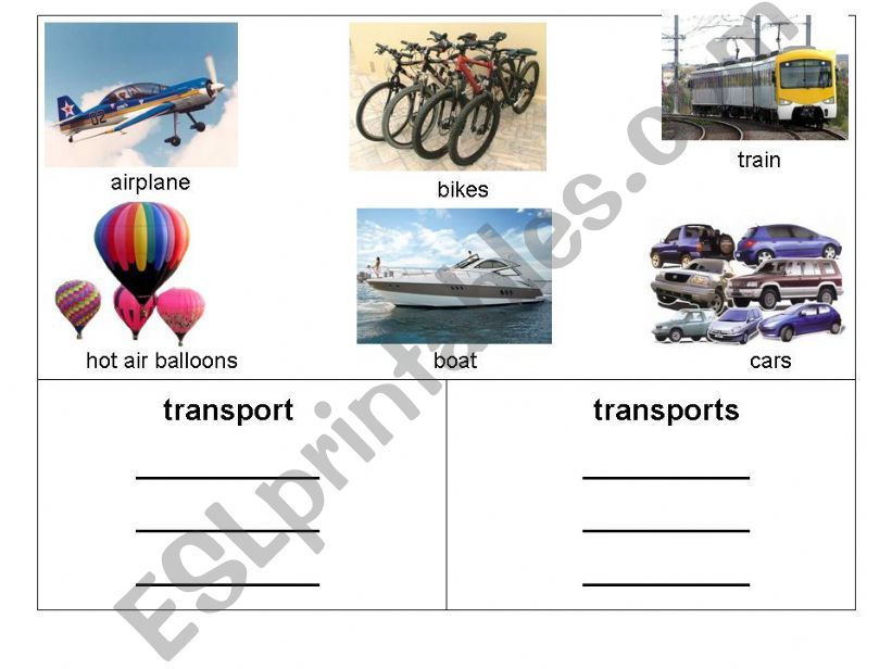 Classify Singluar/Plural powerpoint